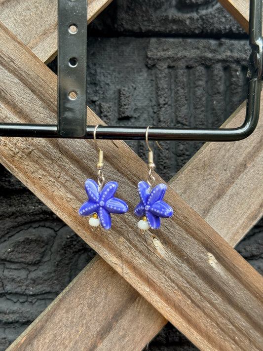 Beautiful Seashore Earrings